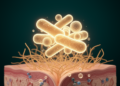 Probiotics, Prebiotics and Synbiotics Show Broad Metabolic and Hormonal Benefits in PCOS Meta-Analysis