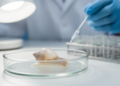 CRISPR snails: eyeless mutants made without a genome