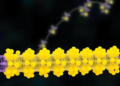 How the cell builds its membrane proteins: new view of the EMC-bound translocon