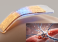 Bendable Memory Device Mimics the Body's Nerve-Muscle Synapse