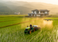 Threshold effect found in how farm services drive green productivity in China
