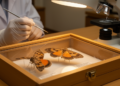 Moth Genus Hypocala Reviewed Across China With New Genitalia-Based Diagnoses