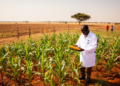 Africa's GM Food Revolution Stalls at Just 15 of 54 Nations