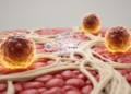 Blocking EP300 Rewires Scar-Associated Macrophages to Fight Acute Liver Failure