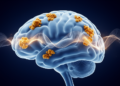 Beta-brain-wave dips may link amyloid buildup to memory loss in early Alzheimer's