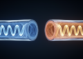 Pulse Wave Fingerprints of Aging Persist Across Blood Pressure Levels