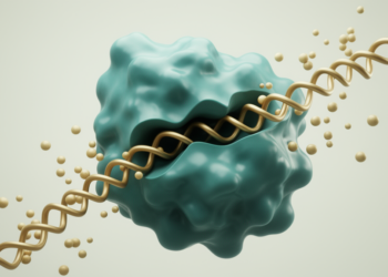 Plant Starch Enzyme AMY3 Shows a Distinct Taste for Amylose