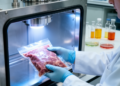 Electron Beam Irradiation Kills Salmonella and Listeria in Raw Pet Food, Preserving Nutrients