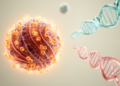 Histone Lactylation Drives ALKBH5 to Worsen Cardiac Hypertrophy via ATF6 Demethylation