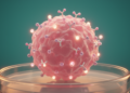BUB1 kinase inhibition slows endometrial cancer growth in lab study