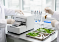 Genomics Goes Routine: From Model Labs to Honey Bees, Crops and Wild Populations