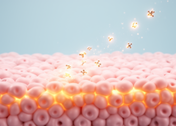 Epithelial Cells' Sensitivity to Interferon Gamma May Shape Genital Herpes Outcomes
