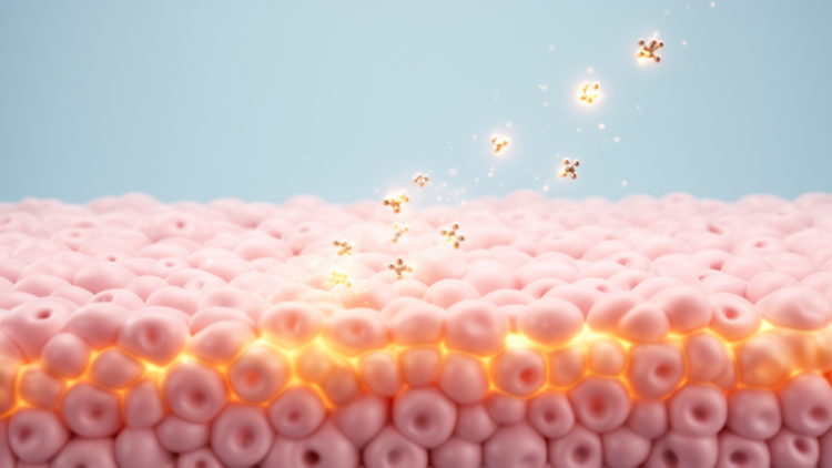 Epithelial Cells' Sensitivity to Interferon Gamma May Shape Genital Herpes Outcomes