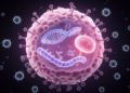NAT10 and USP19 jointly stabilize CDH3 to drive colorectal cancer growth and immune evasion