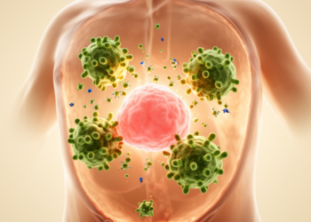 Ginseng Compound Rg3 Rewires Tumor Macrophages and Boosts Immunotherapy in Mice