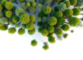 Cheap Drone Photogrammetry Nails Canopy Height but Struggles to Count Individual Trees