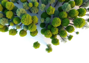 Cheap Drone Photogrammetry Nails Canopy Height but Struggles to Count Individual Trees