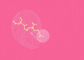 Maternal BMI Leaves Distinct Molecular Fingerprints in Placenta, Mother and Fetus