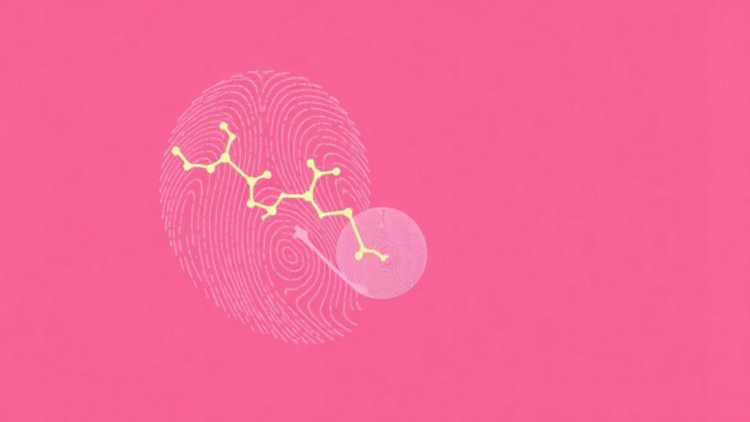 Maternal BMI Leaves Distinct Molecular Fingerprints in Placenta, Mother and Fetus