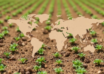 Smart Farming's Energy Problem: Review Maps Efficient Sensor Network Routing Protocols