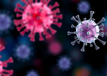 Targeted Immunotherapy Is Redefining What High-Risk Means in Adult B-Cell Leukemia