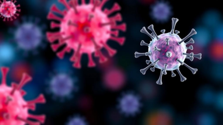 Targeted Immunotherapy Is Redefining What High-Risk Means in Adult B-Cell Leukemia