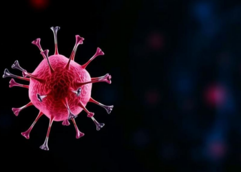 Single-cell study links an eight-gene program to LSC17-high acute myeloid leukemia