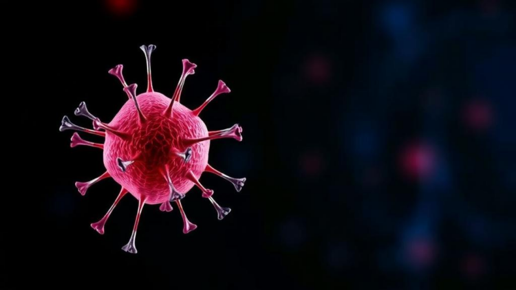 Single-cell study links an eight-gene program to LSC17-high acute myeloid leukemia