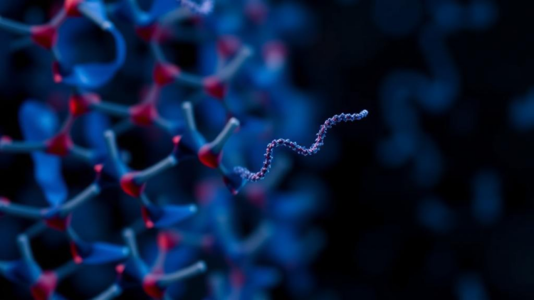 New tool prunes misleading redundant pathways from gene enrichment results