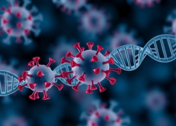 Immune Complexes of SARS-CoV-2 RNA and Nucleocapsid Drive Inflammation
