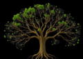 New Algorithms Turn Undirected Evolutionary Networks into Rooted Tree-Child Networks