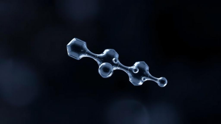 Two Collagen Peptides from Pig Skin Shield Skin Cells from UV Damage