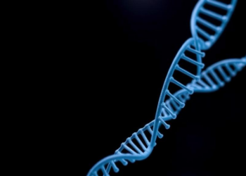 Optimized Asymmetric PCR Protocol Boosts Single-Stranded DNA Production for Aptamer Screening