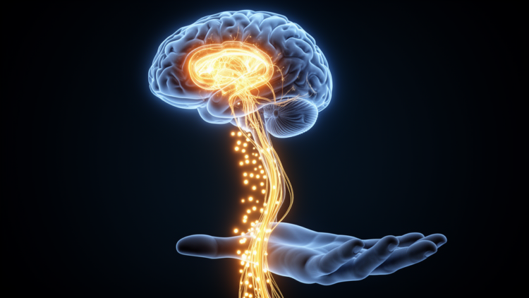 Slowed Movements in Parkinson's Stem From Underscaled Motor Commands, Not Broken Neural Wiring