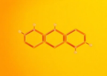 Laccase Enzyme Transforms Quercetin and Caffeic Acid into More Soluble Derivatives