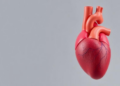 Step-by-Step Tutorial Makes Cardiopulmonary Modelling Accessible