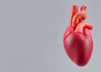 Step-by-Step Tutorial Makes Cardiopulmonary Modelling Accessible
