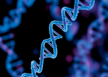 Extrachromosomal DNA Emerges as Possible Breast Cancer Liquid Biopsy Marker
