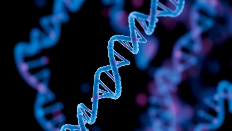 Extrachromosomal DNA Emerges as Possible Breast Cancer Liquid Biopsy Marker