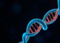 Gene Therapy for Duchenne Muscular Dystrophy Fails Key Trials, Review Finds