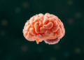 How Bacteria in Breast Milk May Shape a Baby's Developing Brain