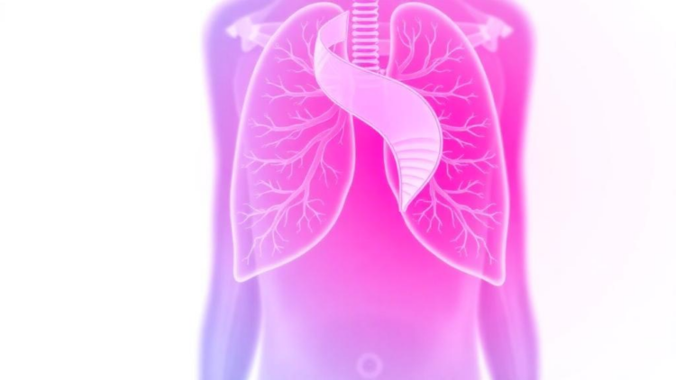 Belly Fat, Not BMI, May Raise Lung Cancer Risk by Silencing Airway Immunity