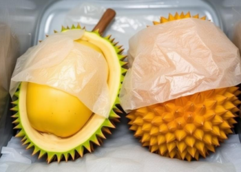 Frozen for a Year: Metabolomics Tracks How Musang King Durian Changes in Storage