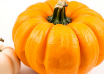 Fluted Pumpkin Review Finds Rich Nutrients but Mostly Preclinical Health Evidence