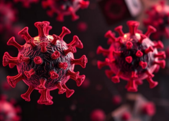 Cell study reveals TRAP complex as a shared coronavirus dependency in the ER