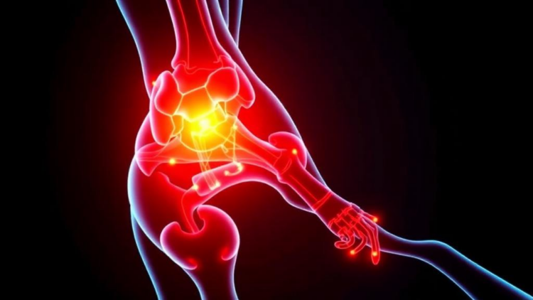TLR4 Blocker TAK-242 Calms Inflamed Stem Cells Without Blocking Bone Formation