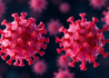 Parallel Evolution of Whole Viral Genomes Seen in Long-Term Phage Experiment
