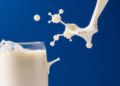 Synthetic Biology Brews Milk Proteins Without the Cow