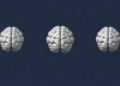 Fat-to-Muscle Ratio Shows No Clear Link to Cognitive Impairment in Older Adults