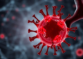 Starvation enzyme SIRT2 strips a mitochondrial gatekeeper to trigger cell death